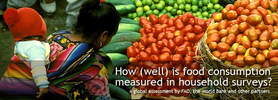 food consumption measured in household surveys